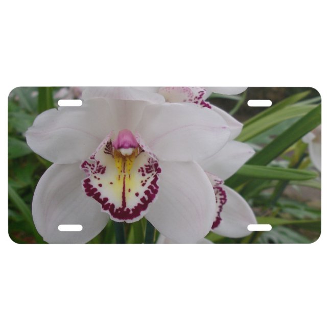 White Orchid II Elegant Floral License Plate (Front)