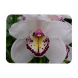 White Orchid II Elegant Floral Magnet