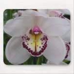 White Orchid II Elegant Floral Mouse Pad