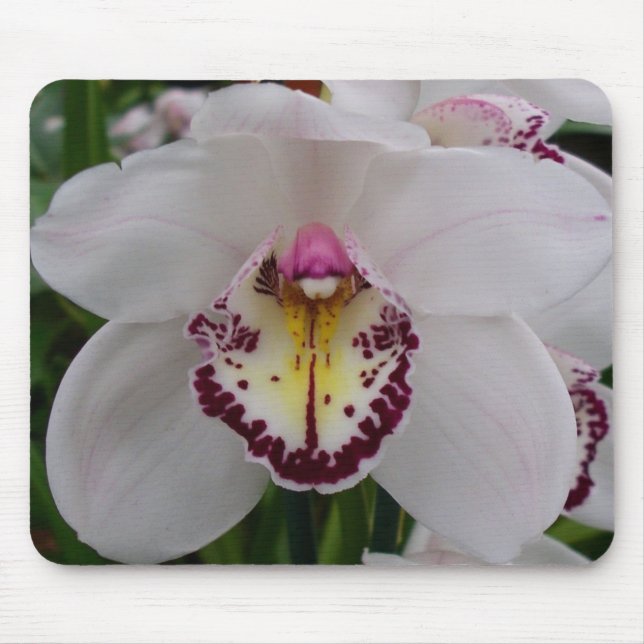 White Orchid II Elegant Floral Mouse Pad (Front)