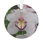 White Orchid II Elegant Floral Ornament