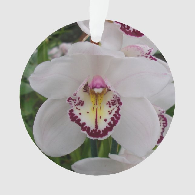 White Orchid II Elegant Floral Ornament (Front)