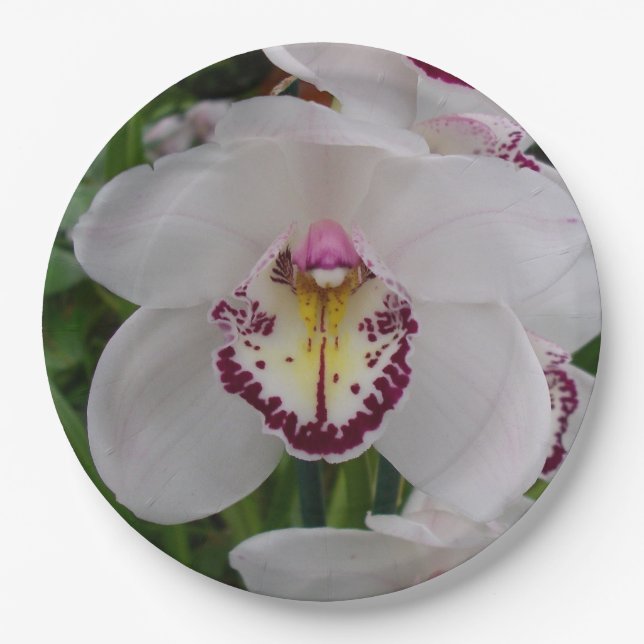 White Orchid II Elegant Floral Paper Plates (Front)
