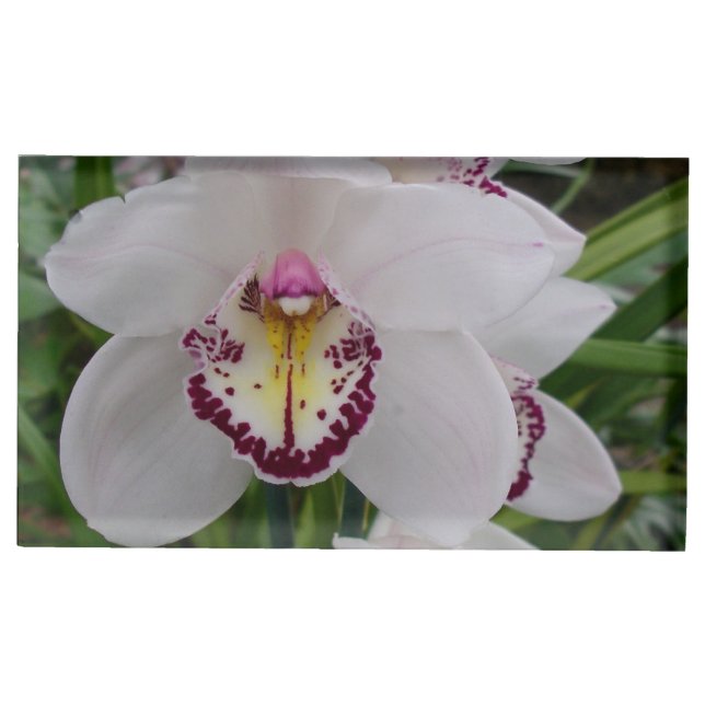 White Orchid II Elegant Floral Place Card Holder (Front)