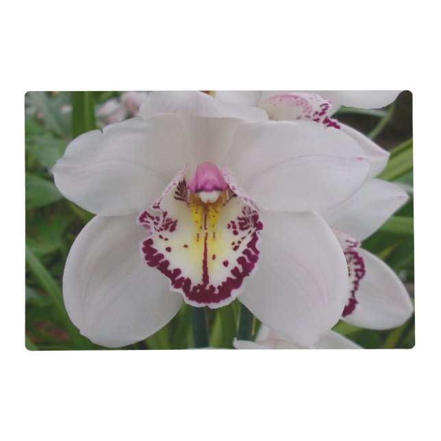 White Orchid II Elegant Floral Placemat (Front)