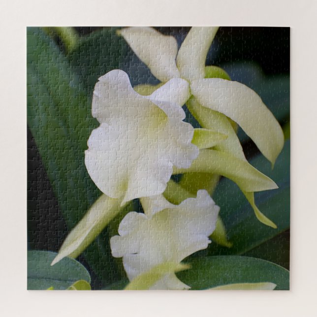 White Orchid Jigsaw Puzzle (Vertical)