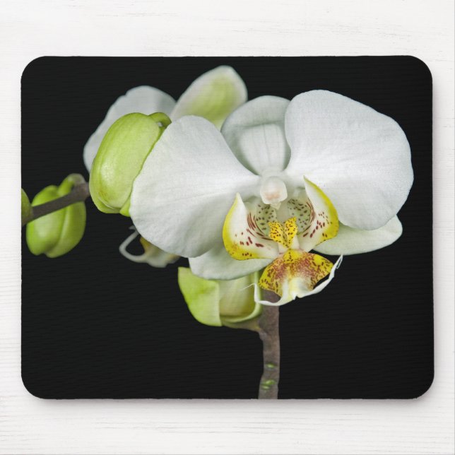 White Orchid Mouse Pad (Front)