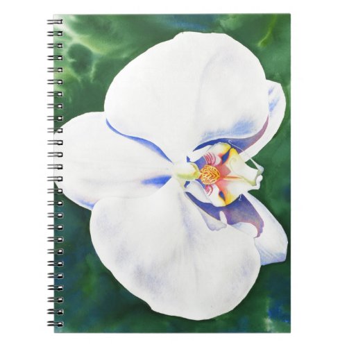 White Orchid Notebook