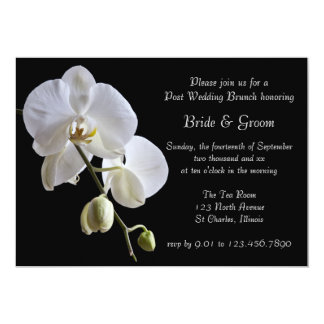 White Orchid on Black Post Wedding Brunch Card