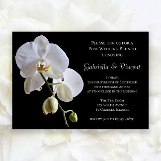 White Orchid on Black Post Wedding Brunch Invitation