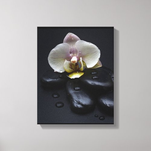 White Orchid On Black Stones Canvas Print