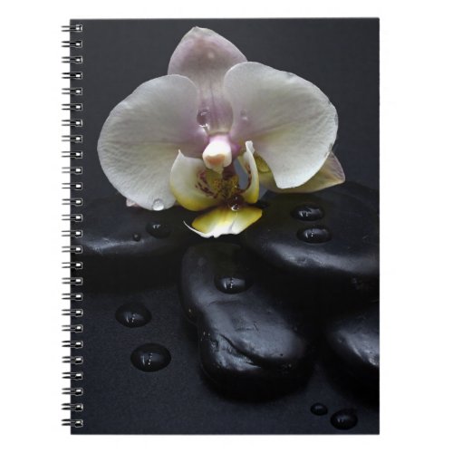 White Orchid On Black Stones Notebook