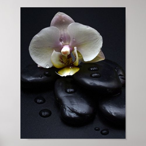 White Orchid On Black Stones Poster