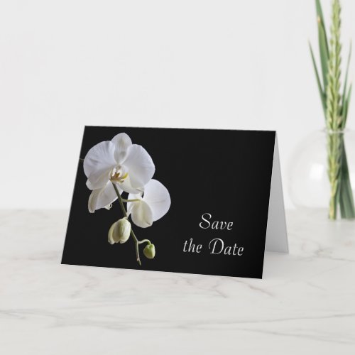 White Orchid on Black Wedding Save the Date Announcement