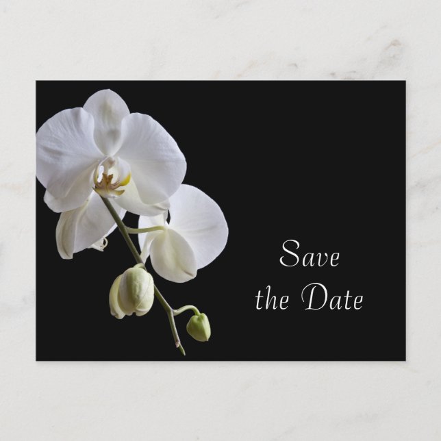 White Orchid on Black Wedding Save the Date Announcement Postcard (Front)