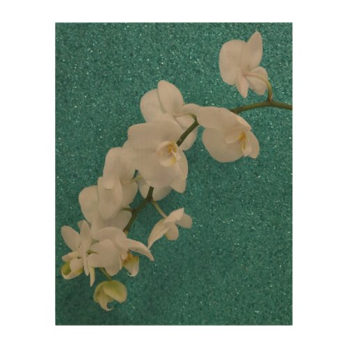 White Orchid on Teal Glitter Wood Print 11x14