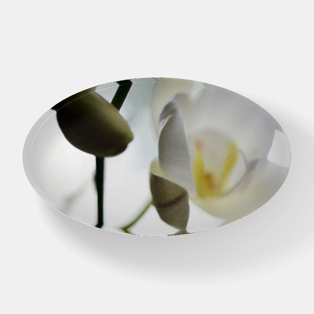 White Orchid Paperweight (Front)