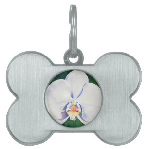 White Orchid Pet Name Tag