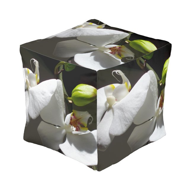 white orchid photo, tropical white floral photo pouf (Angled Front)