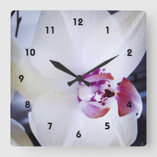 White Orchid Photograph Square Wall Clock