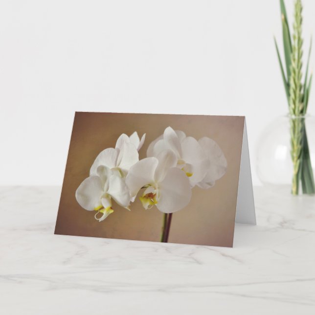 White Orchid Portrait Art Card (Front)