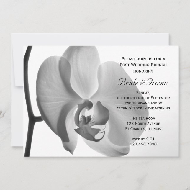 White Orchid Post Wedding Brunch Invitation (Front)