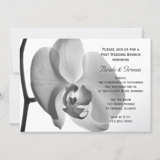 White Orchid Post Wedding Brunch Invitation