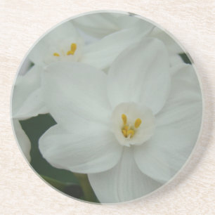 White Orchid Sandstone Coaster