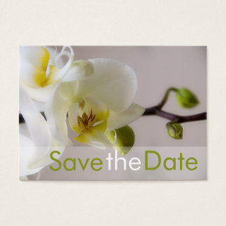 White Orchid • Save the Date Mini Card