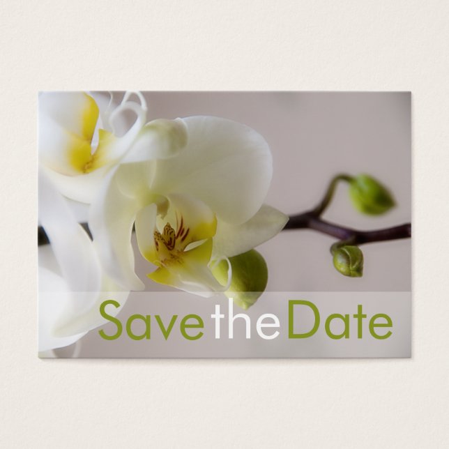 White Orchid • Save the Date Mini Card (Front)