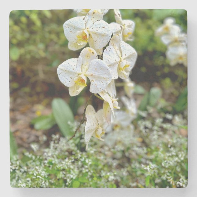 White Orchid Stone Coaster (Front)