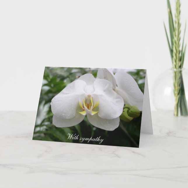 White orchid sympathy card (Front)