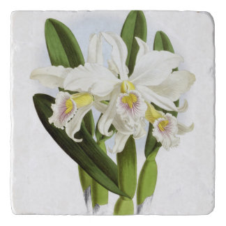 White Orchid Trivet