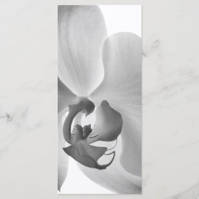 White Orchid Wedding Program (Front)