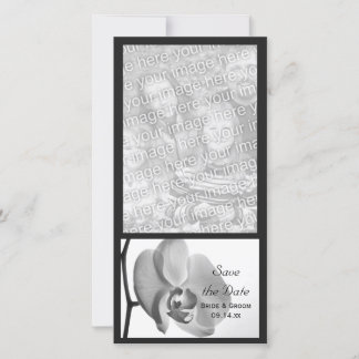 White Orchid Wedding Save the Date