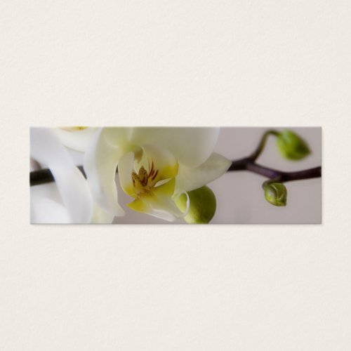 White Orchid â€¢ Wedding Website Profile Card Business Card Template