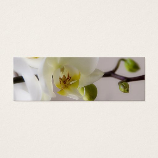 Customizable White Orchid • Wedding Website Profile Card Business Card Template