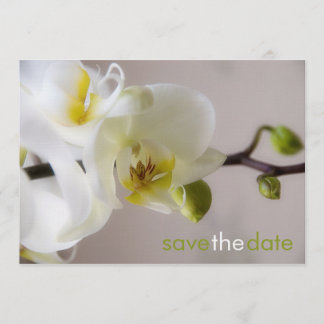 White Orchidee ・ Save the Date Map