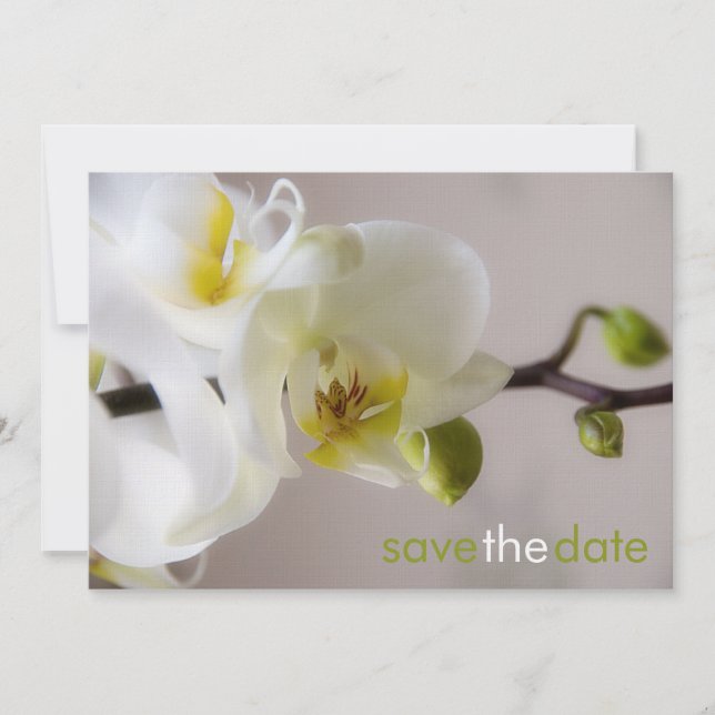 White Orchidee ・ Save the Date Map (Front)