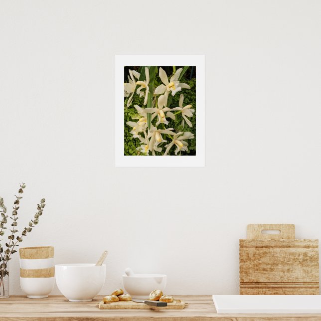 White Orchids and Ferns Floral Poster (Kitchen)