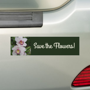 White Orchids Beautiful Tropical Flowers Bumper Sticker