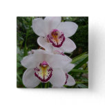White Orchids Beautiful Tropical Flowers Button