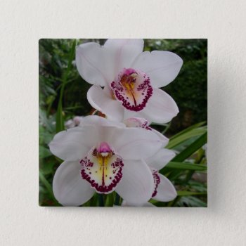 White Orchids Beautiful Tropical Flowers Button by mlewallpapers at Zazzle