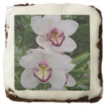 White Orchids Beautiful Tropical Flowers Chocolate Brownie