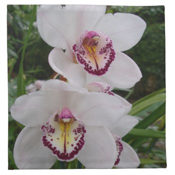 White Orchids Beautiful Tropical Flowers Cloth Napkin by mlewallpapers at Zazzle