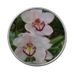 White Orchids Beautiful Tropical Flowers Jelly Belly Tin