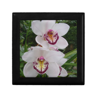 White Orchids Beautiful Tropical Flowers Jewelry Box