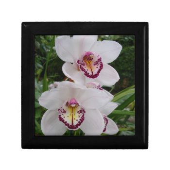 White Orchids Beautiful Tropical Flowers Jewelry Box by mlewallpapers at Zazzle