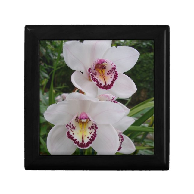 White Orchids Beautiful Tropical Flowers Jewelry Box (Front)