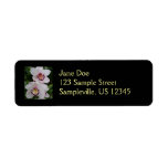 White Orchids Beautiful Tropical Flowers Label